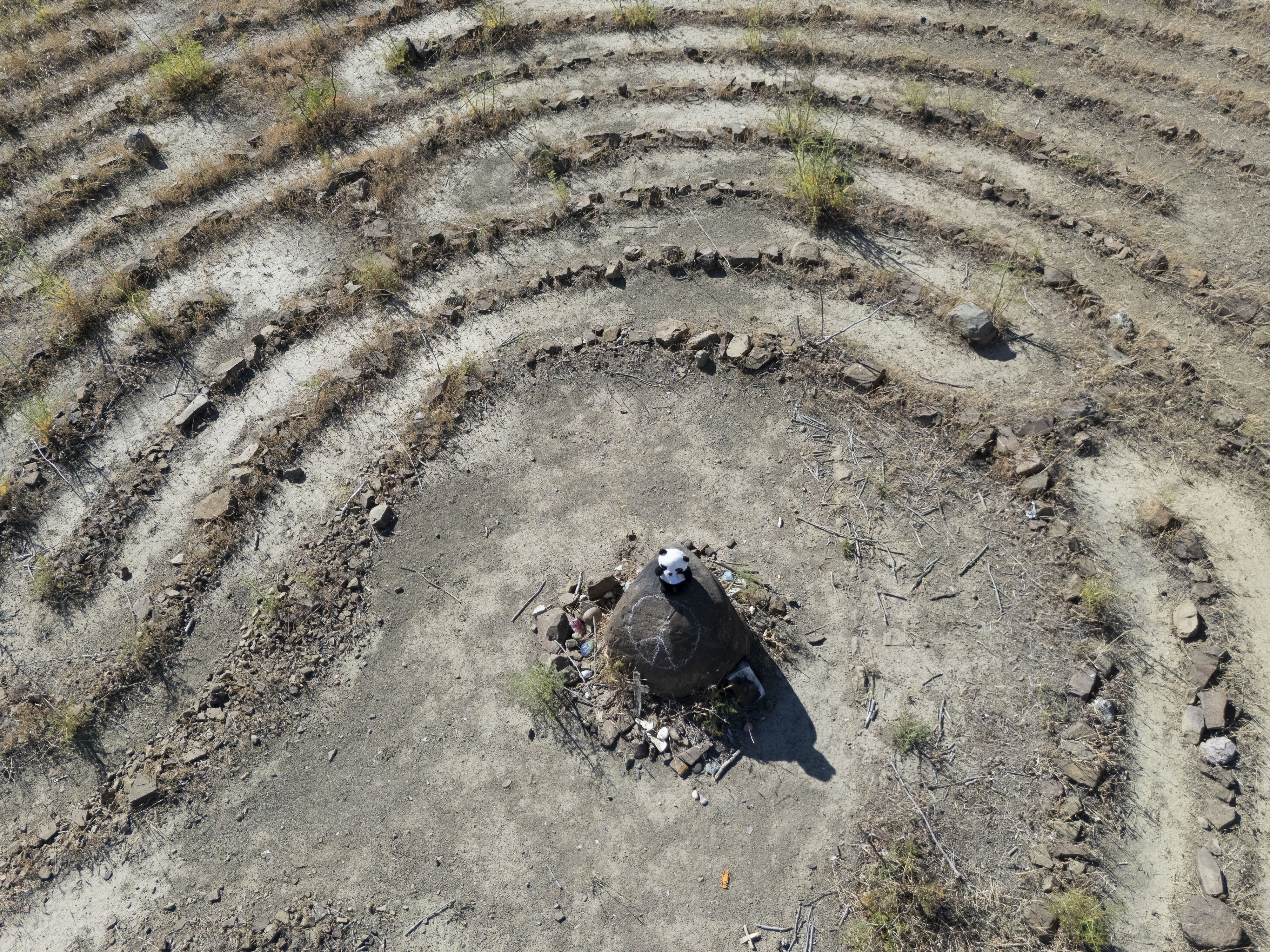 Panda at the Labyrinth (Original)