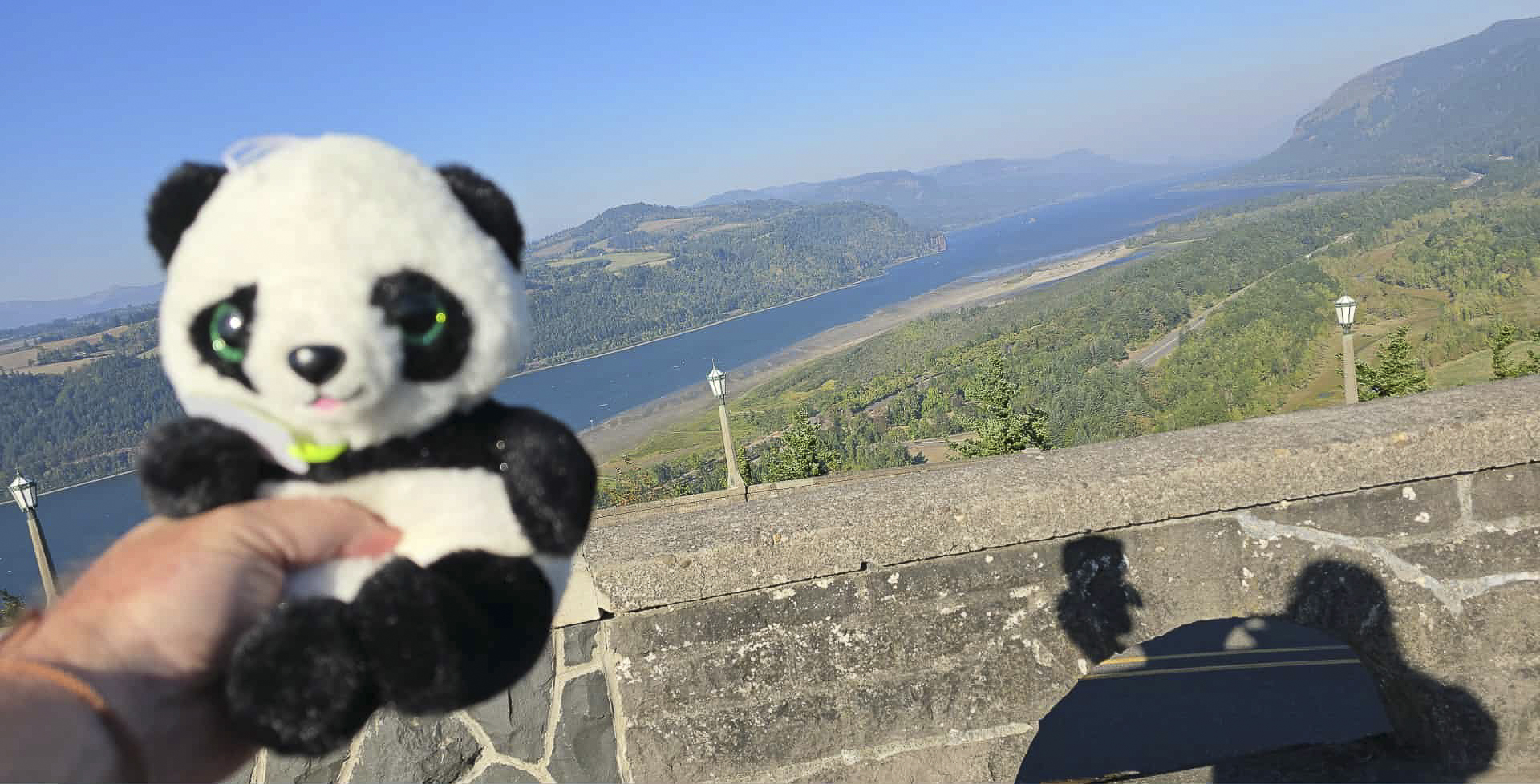 Panda at Vista House at Crown Point (Only Copy)