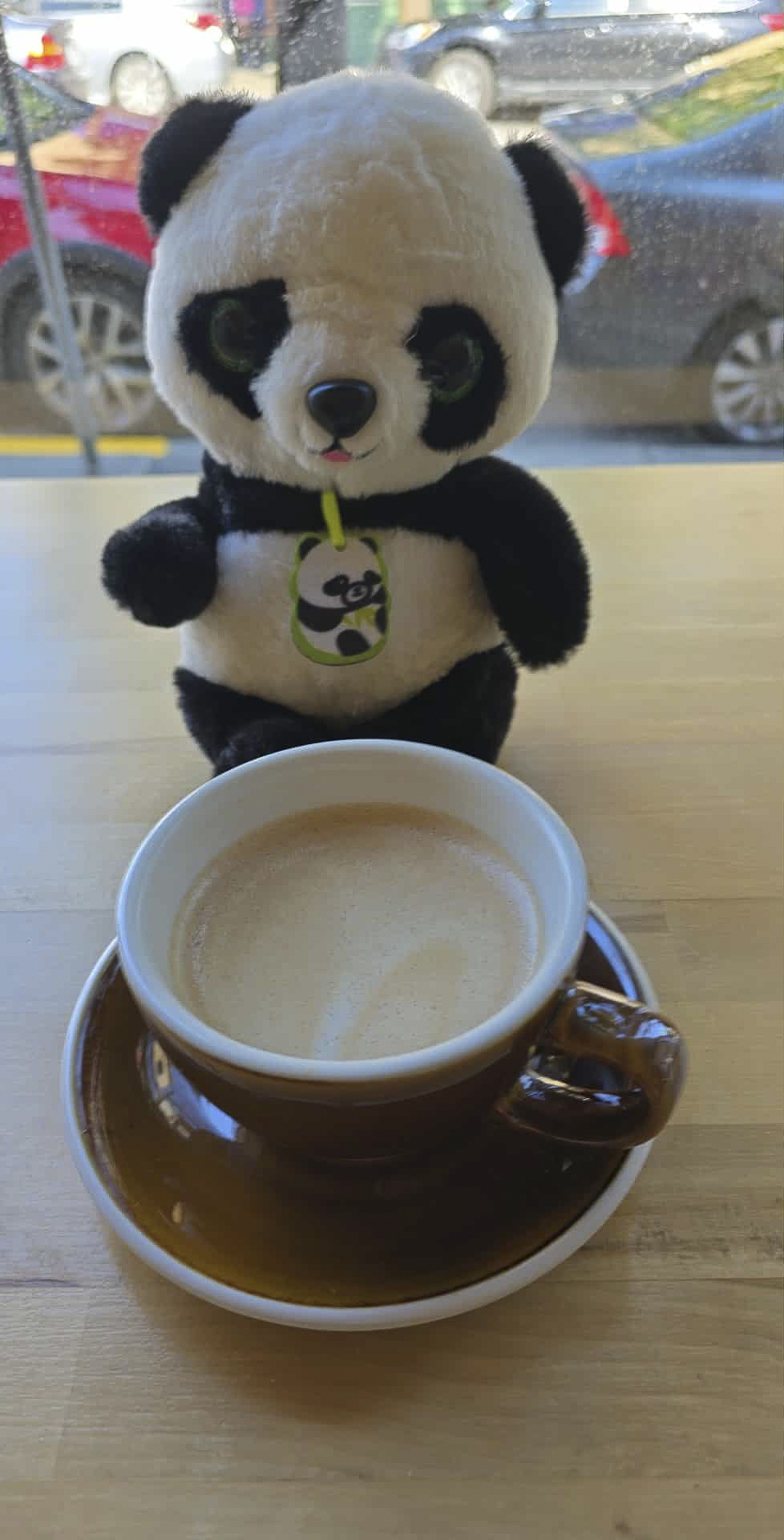 Panda Drinking Chai (Only Version)