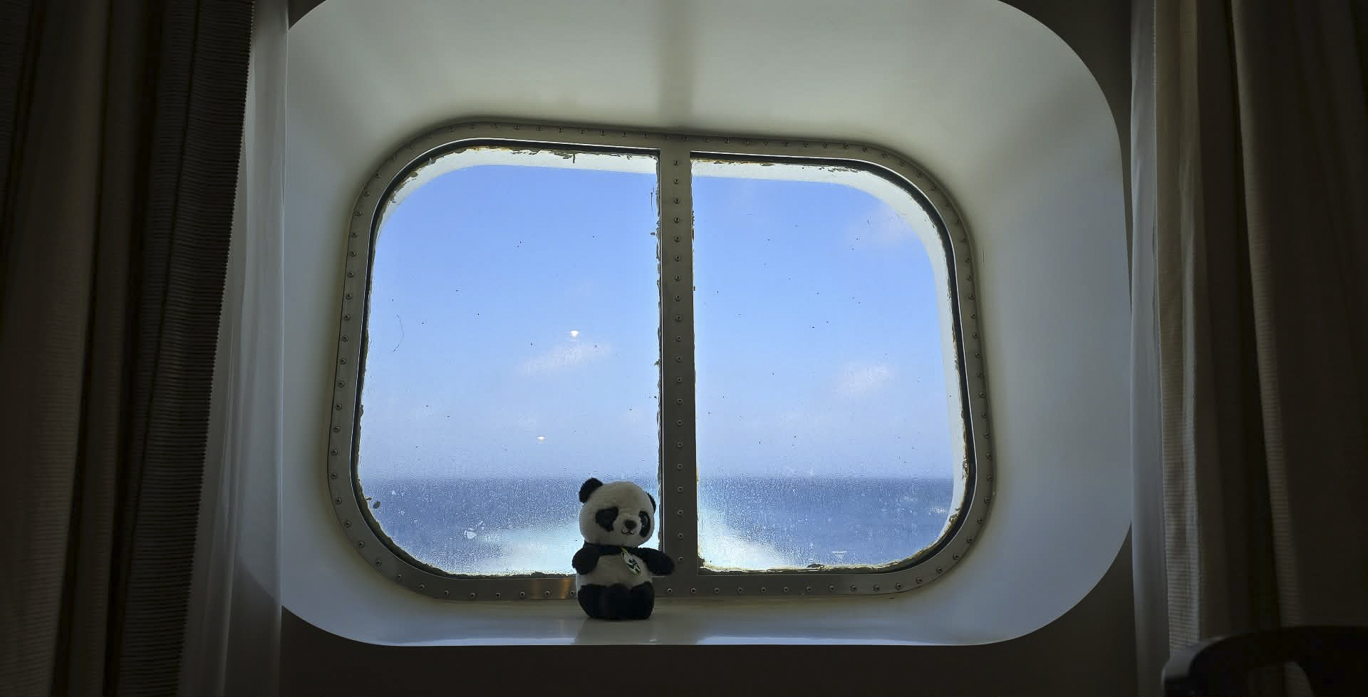 Panda on Cruise Ship to Panama (Only Version)
