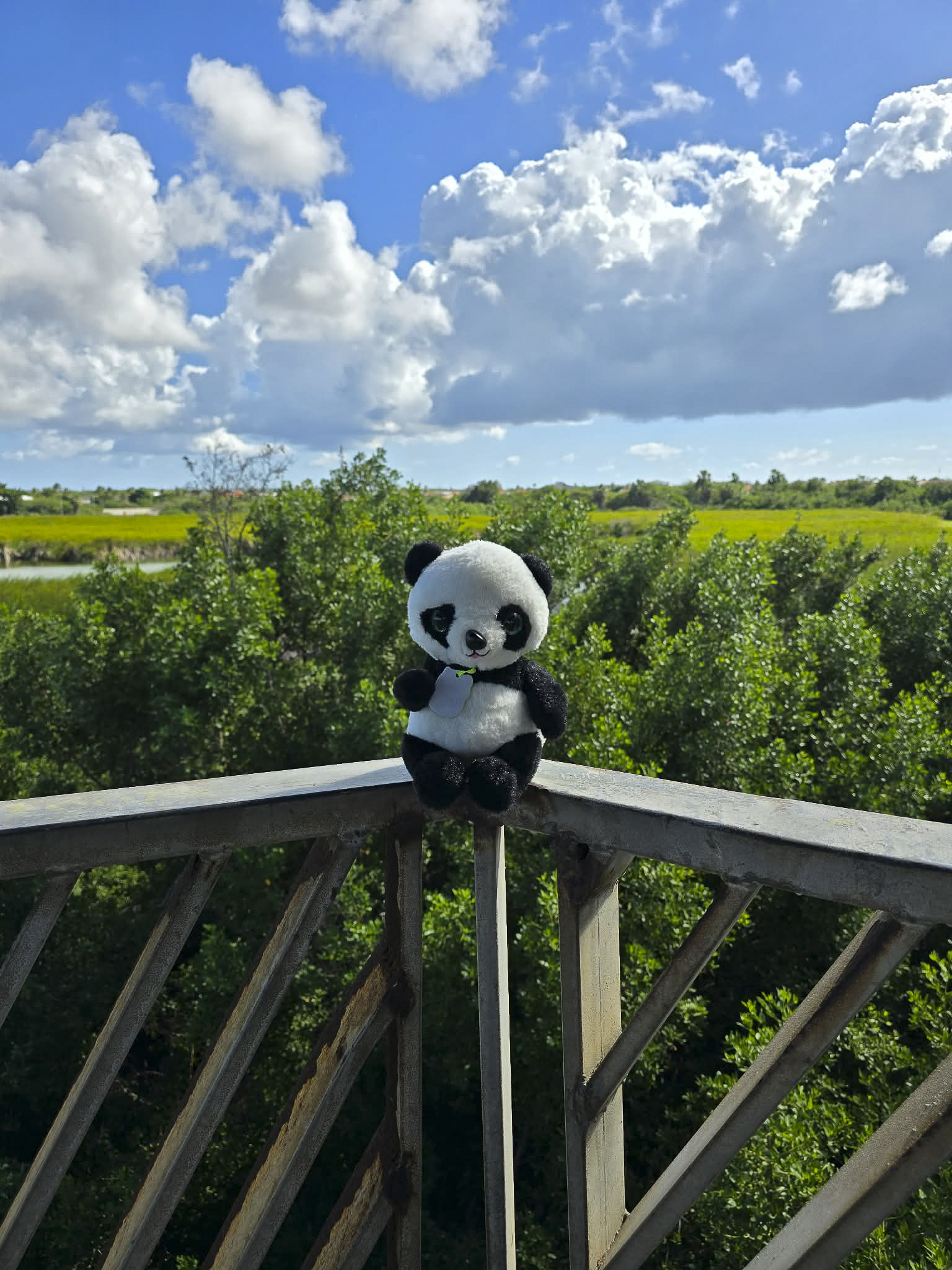 Panda at Bubali Bird House
(Original)