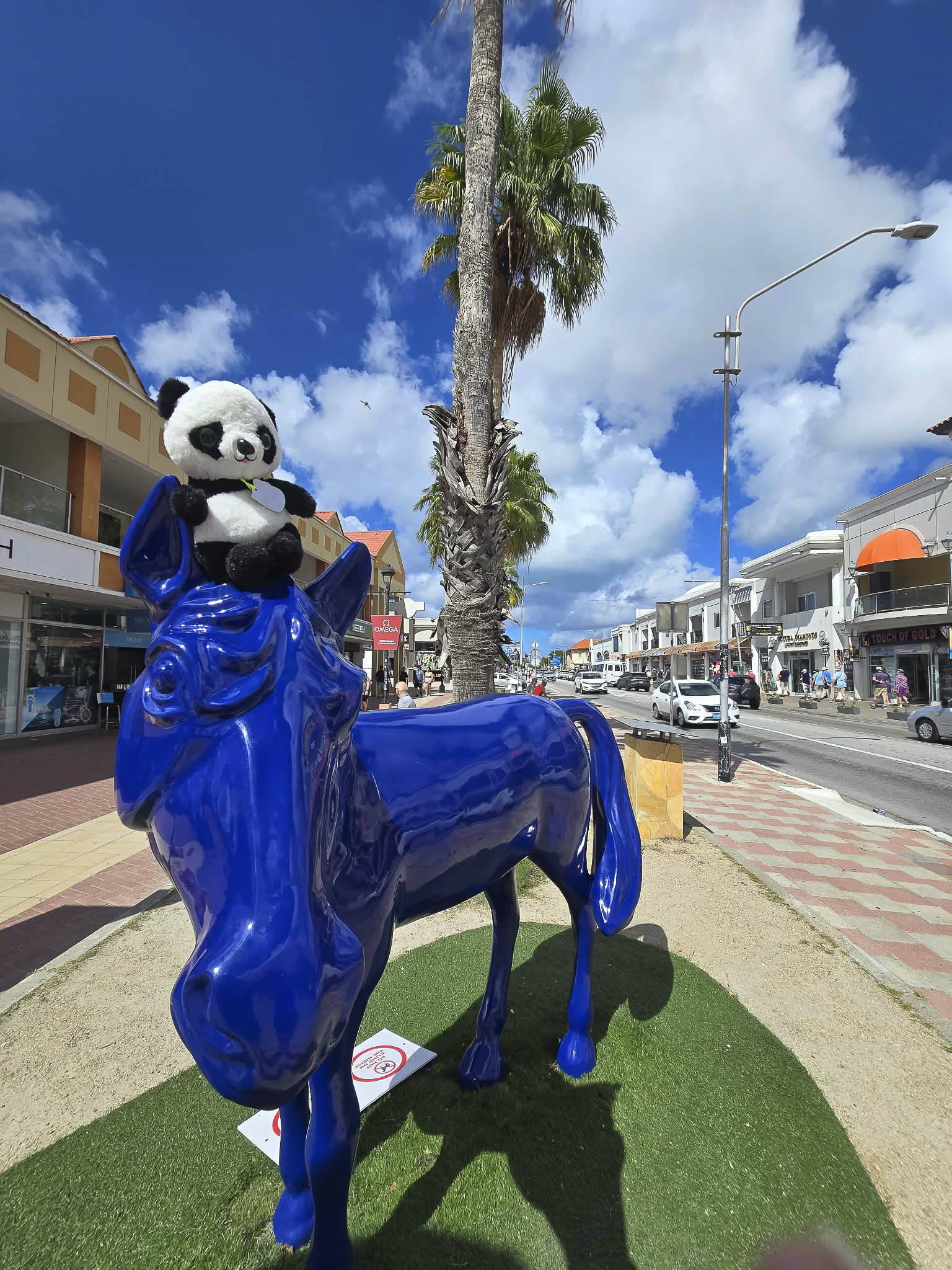 Panda in Aruba on Blue Horse 1 (Original)