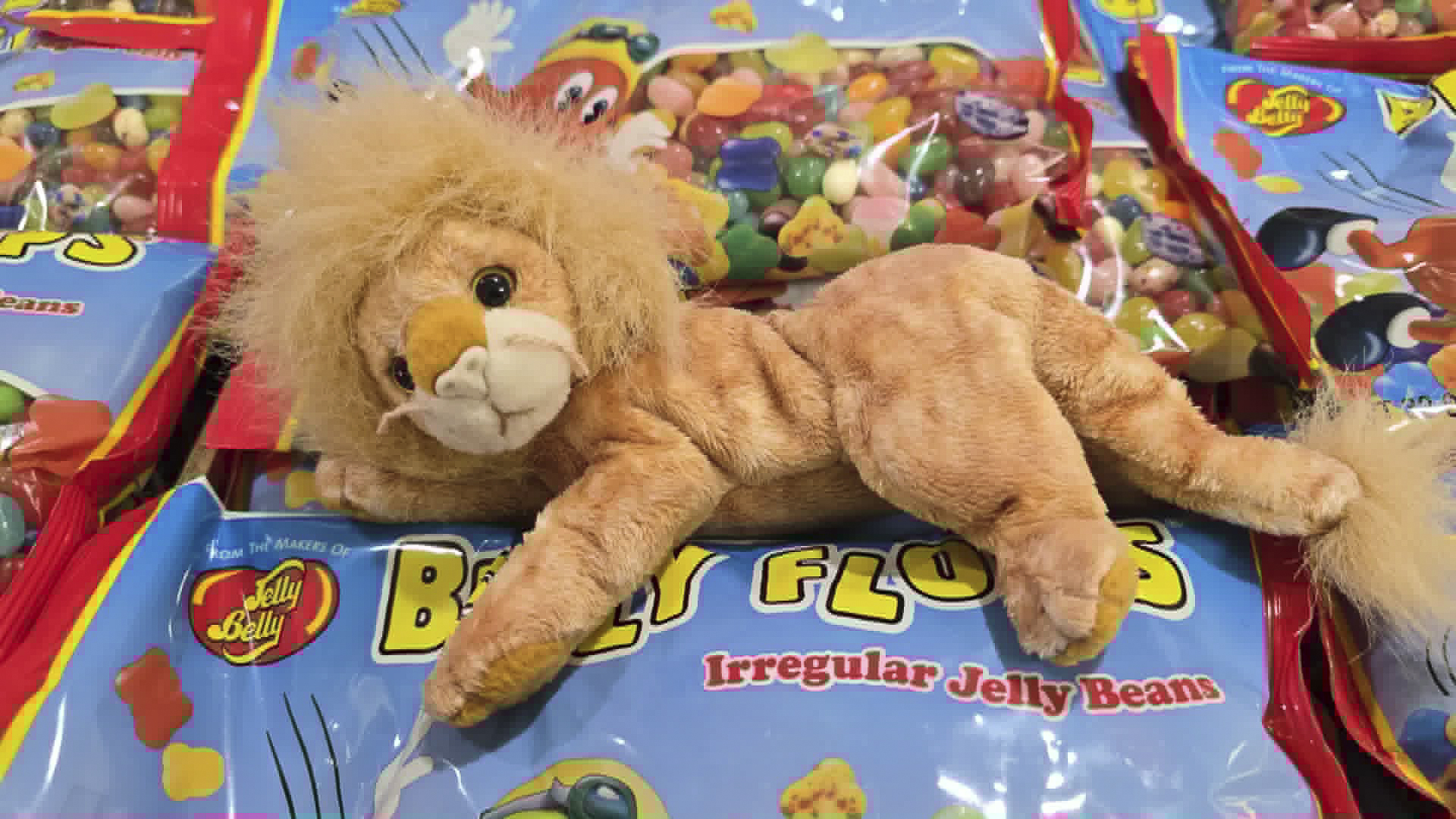 Leo Substitutes for Panda at the Jelly Belly Factory (First)