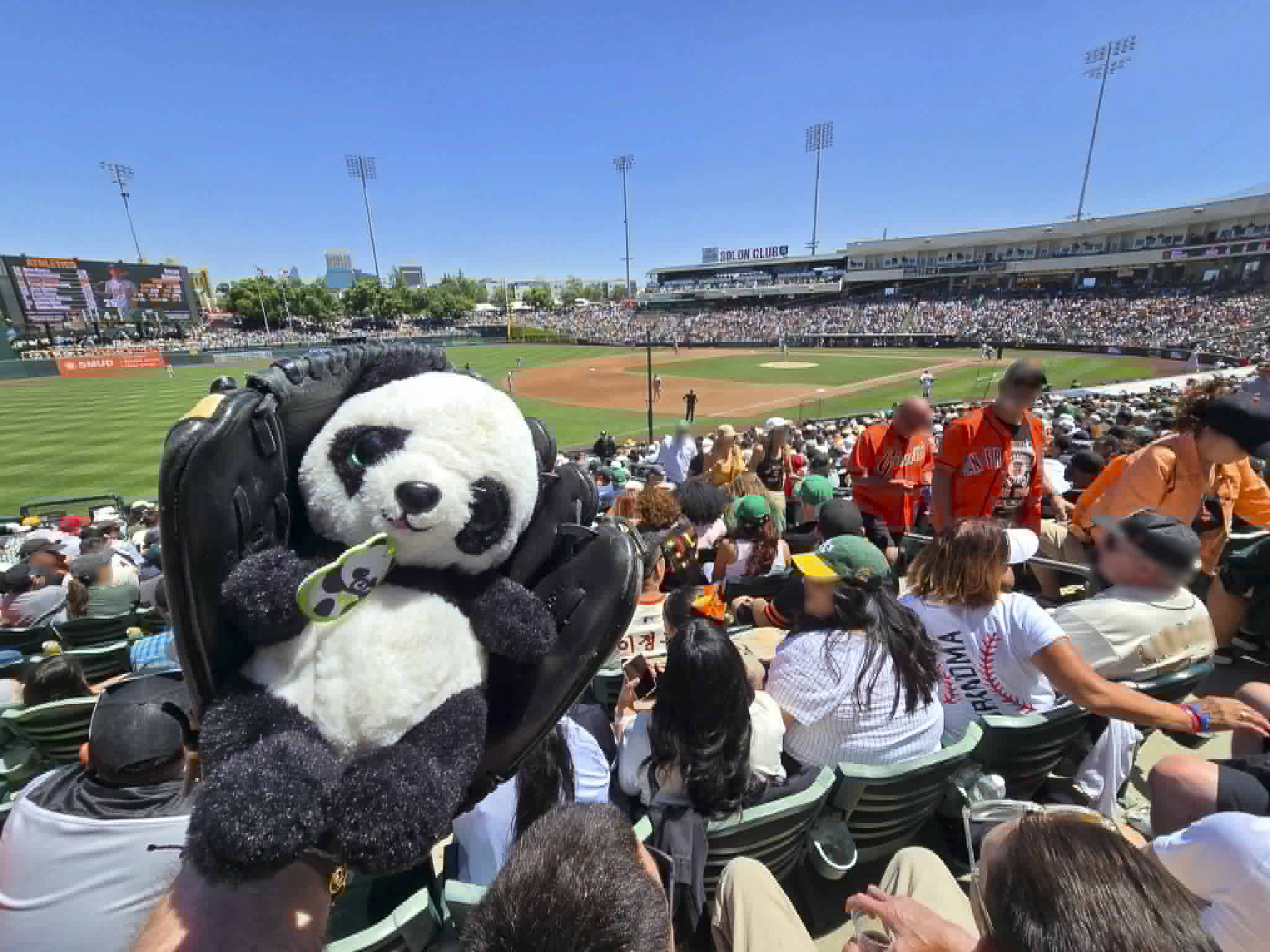 Panda is at the ballgame! (Shared)