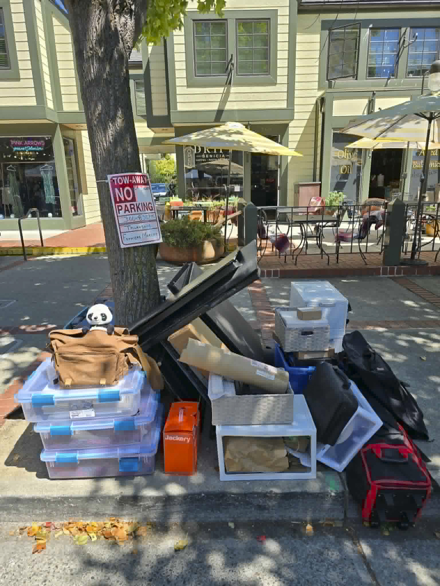 Panda Helps at the Farmer’s Market (Shared)