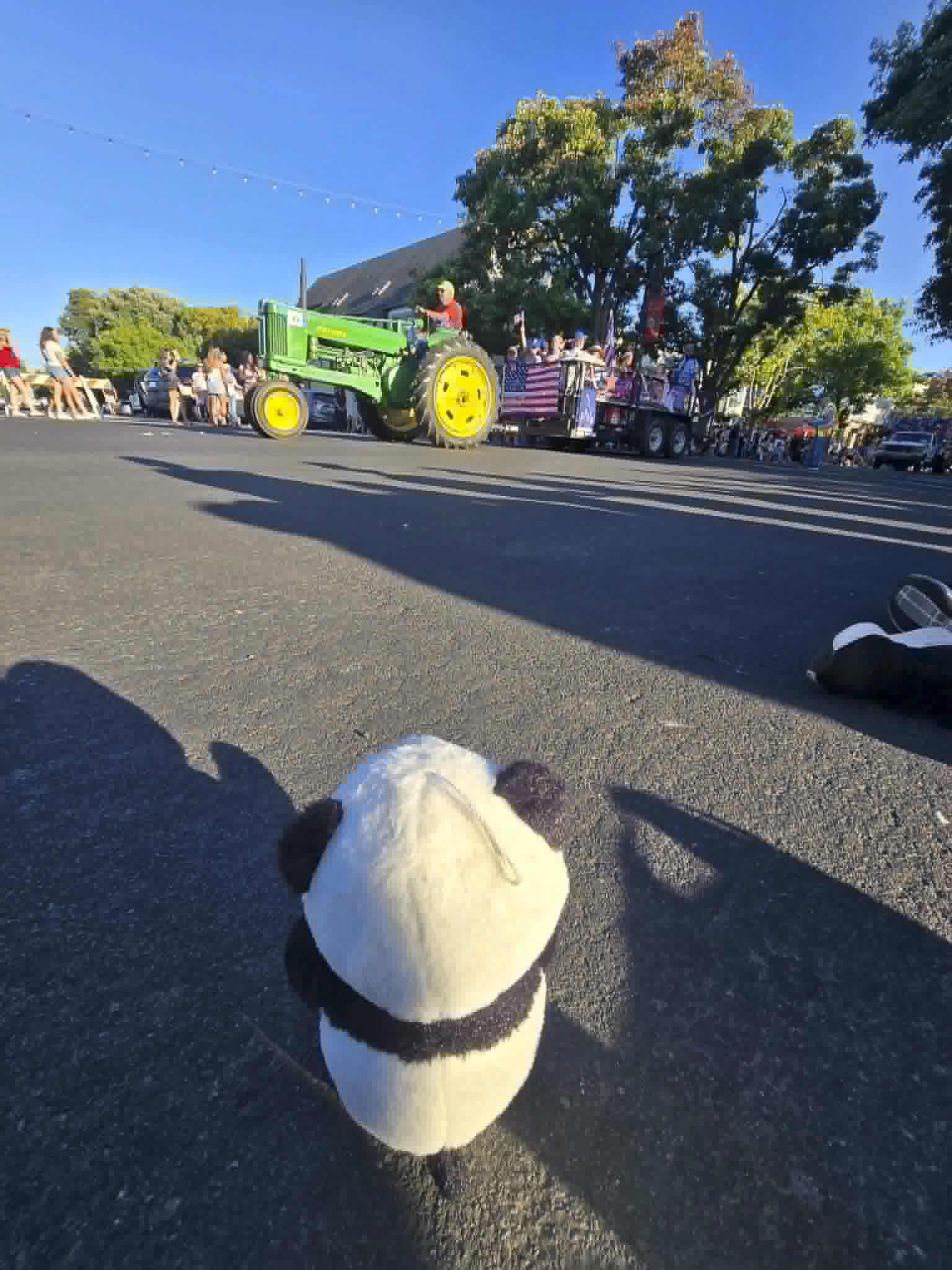 Panda at the 3rd of July Parade with Tractor (Shared)