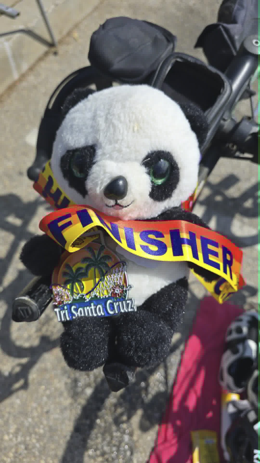 Panda with Finisher’s Medal Tri Santa Cruz (Only Version)