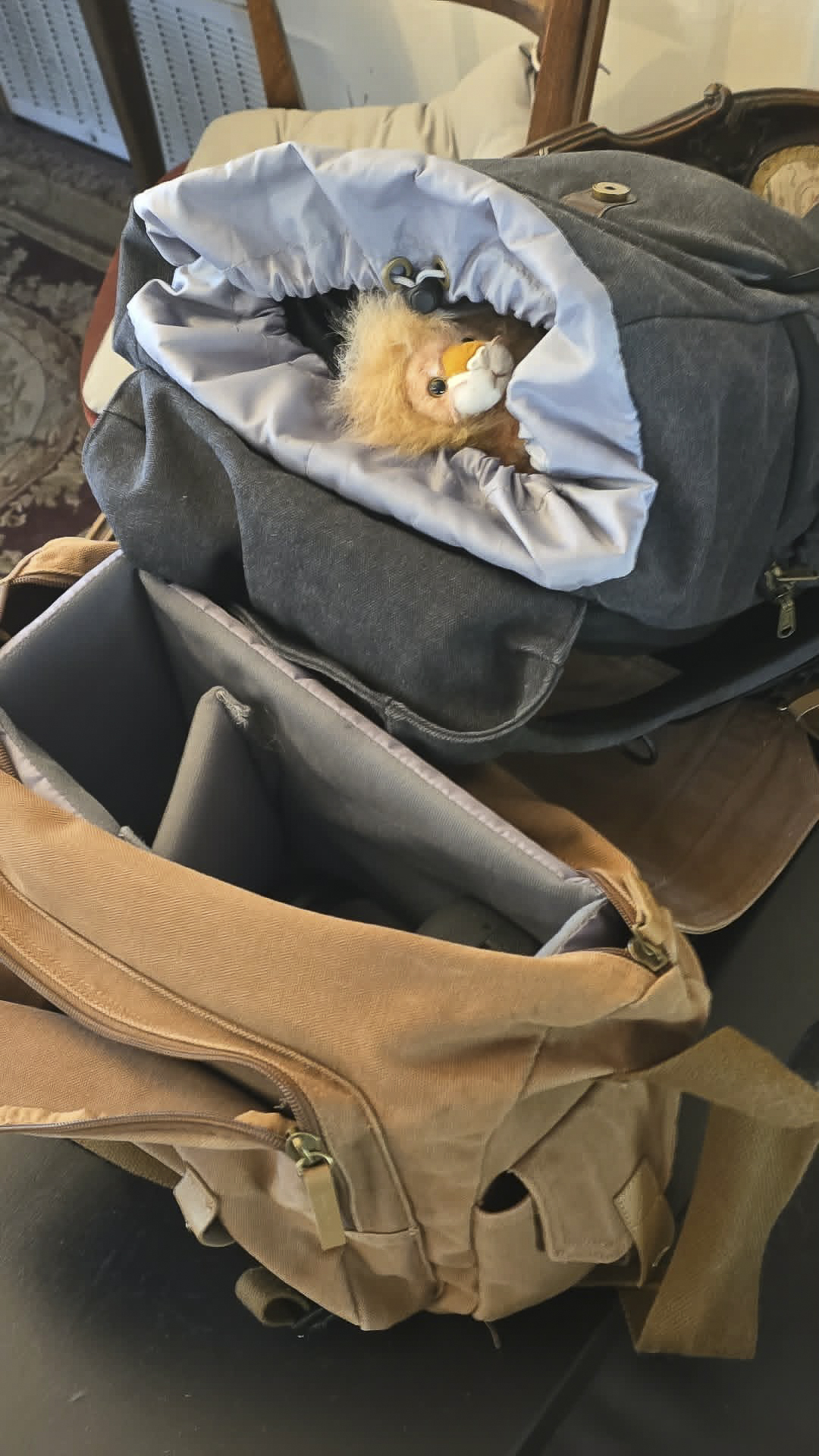 Leo Plans to Stow Away to Mexico (Only Version)