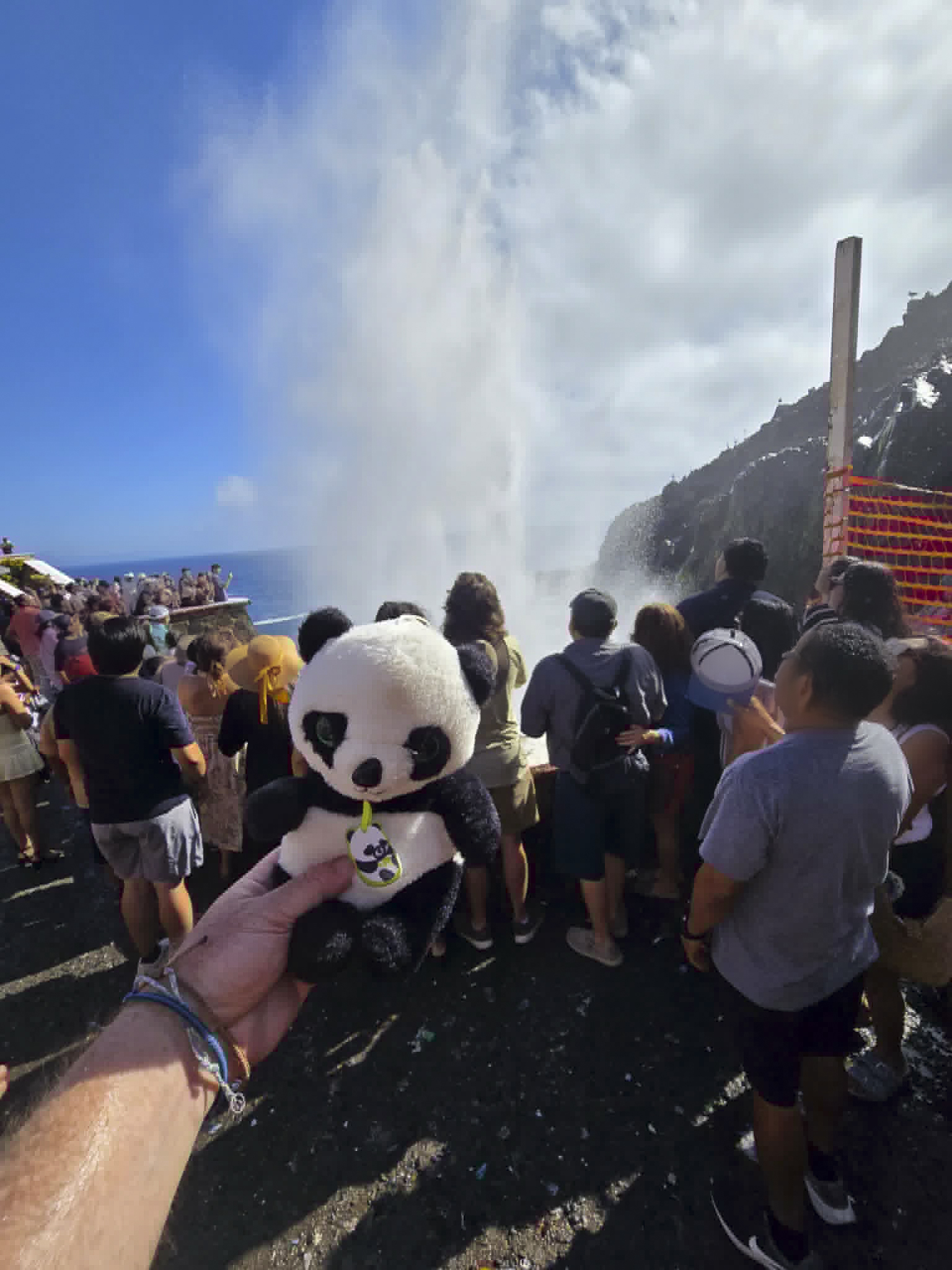 Panda at La Bufadora, Ensenada (Shared)