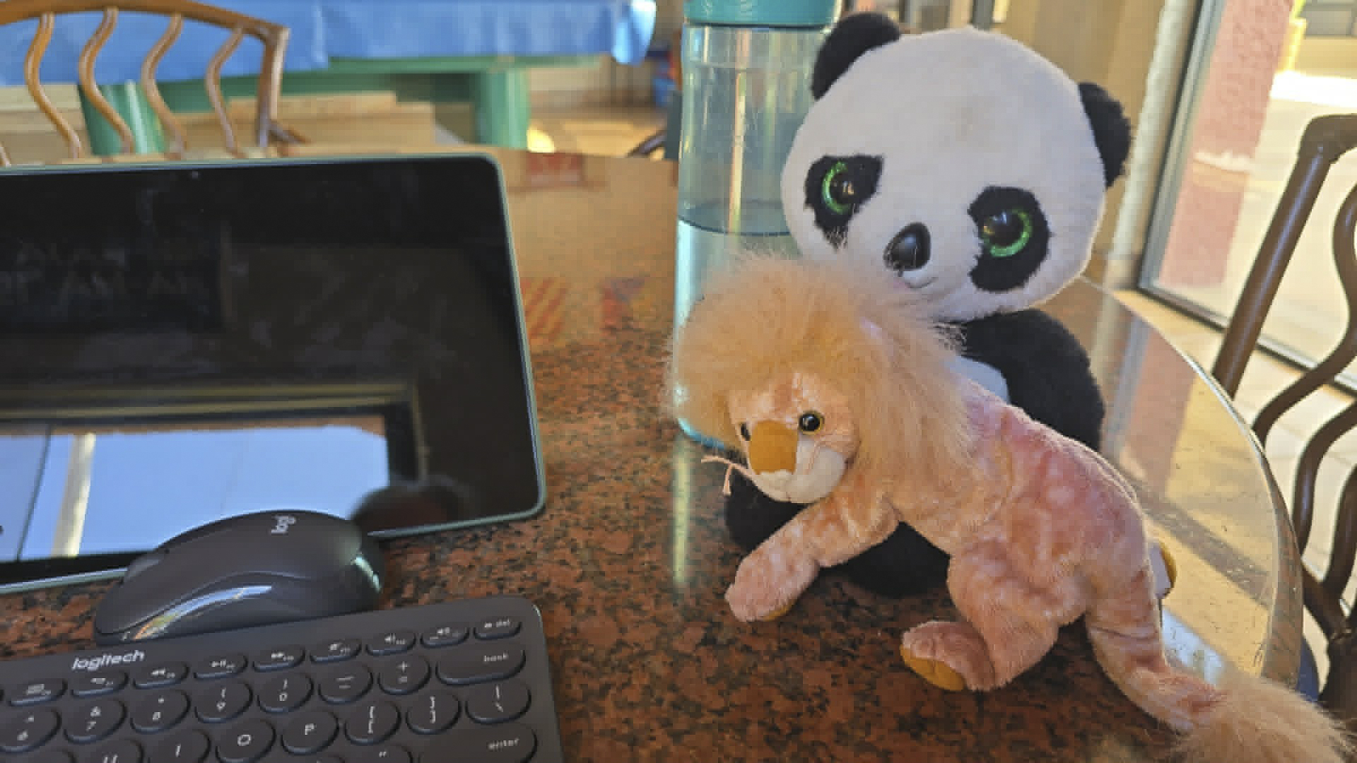 Panda and Leo are meeting for the first time in Ensanada! (Only Version)