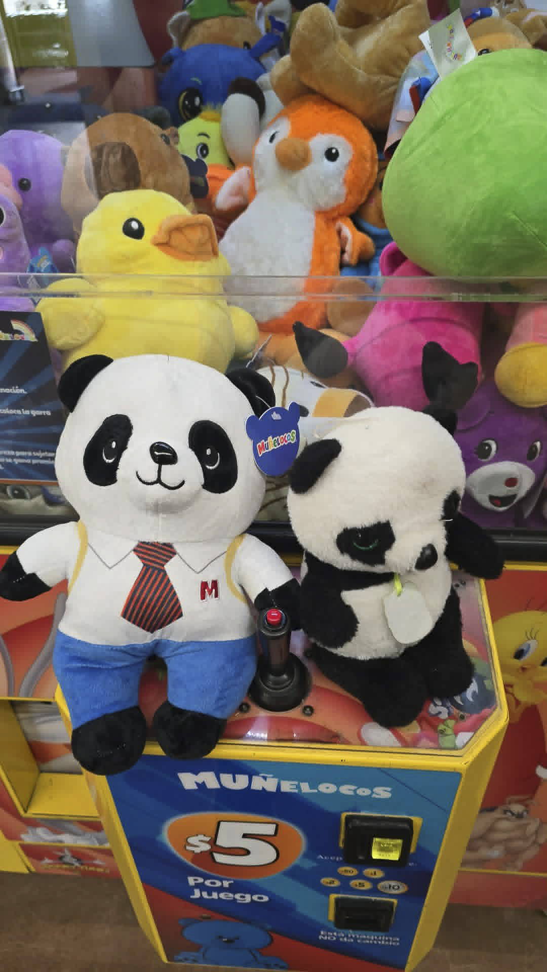 Boy Panda Freed from Arcade … Success! (Only Version)